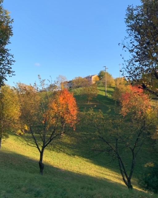La Corte Di Cesio Monfumo Zewnętrze zdjęcie